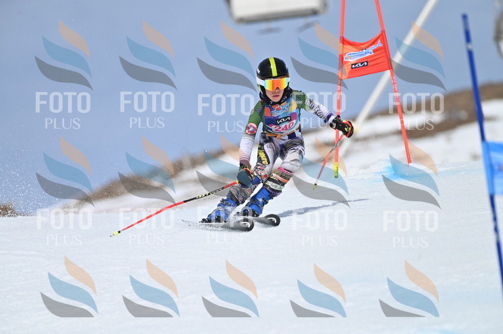 BGV_1696 | holidayphoto