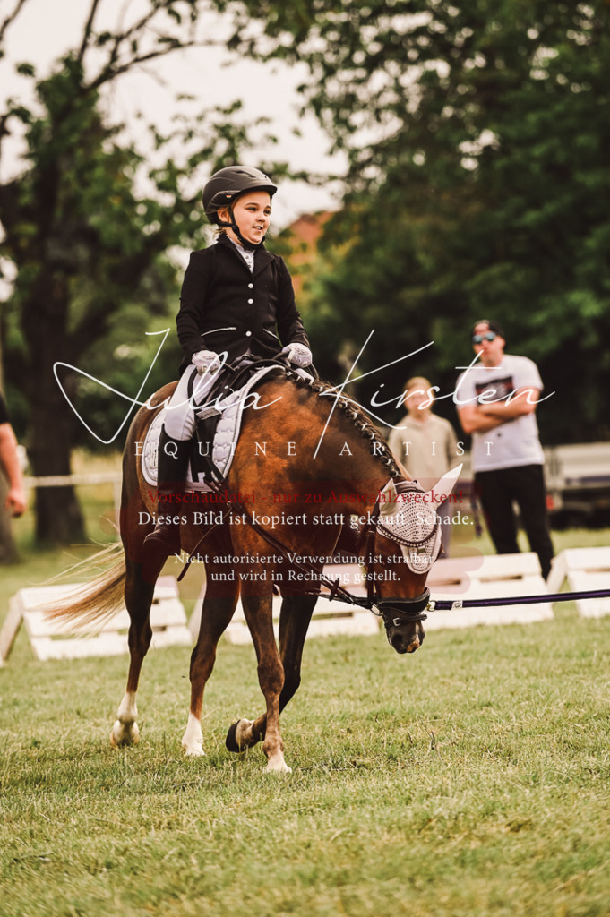 DSC_5235 | Pferde- und Turnierfotografie in Westsachsen. Pferdeportraits, Auftragszeichnungen und intuitive Kunst.