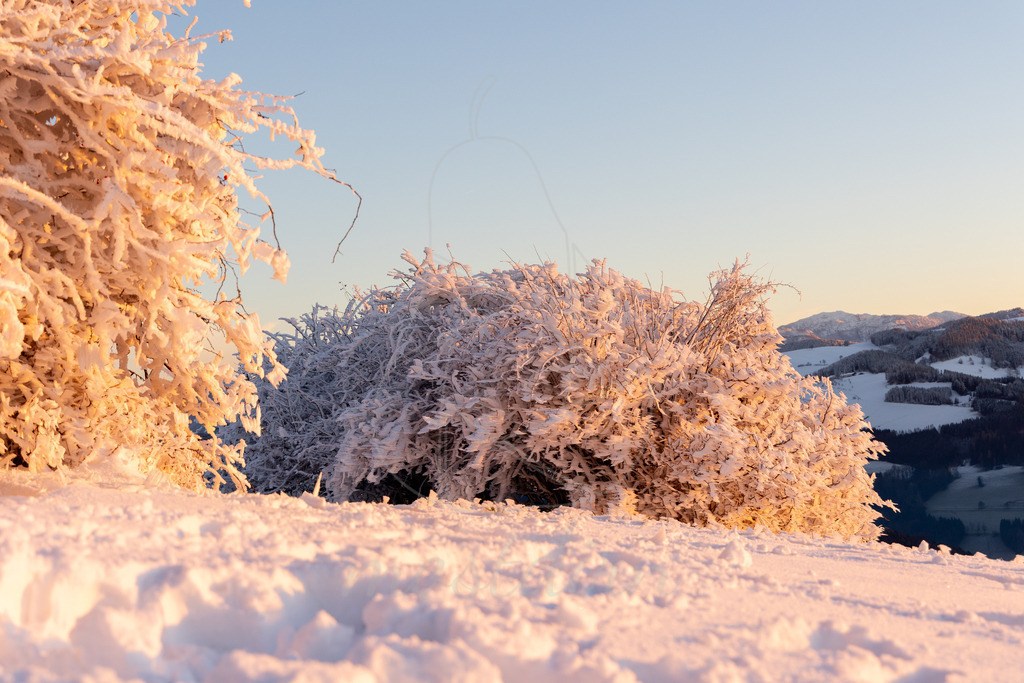 Winter am Hochkogelberg Rauhreif | Ihre Fotografin im Lungau, ihre Fotografin im Mostviertel, Wandbilder Onlineshop, Imagefotos für Ihr Unternehmen,  - Realisiert mit Pictrs.com