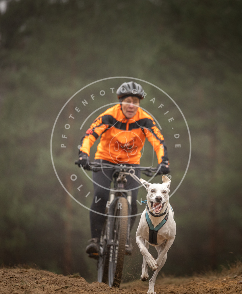 Pfotenfotografie_DV3A2733 | Hundefotografie, Tierfotograf, Pfotenfotografie, Fotoshooting Hund, Hunde Portrait, Hundesport, Hundeportraits, Heideshooting, Hunde, Sportfotograf, Hundefotograf, Turnierhundsport, THS,  - Realisiert mit Pictrs.com