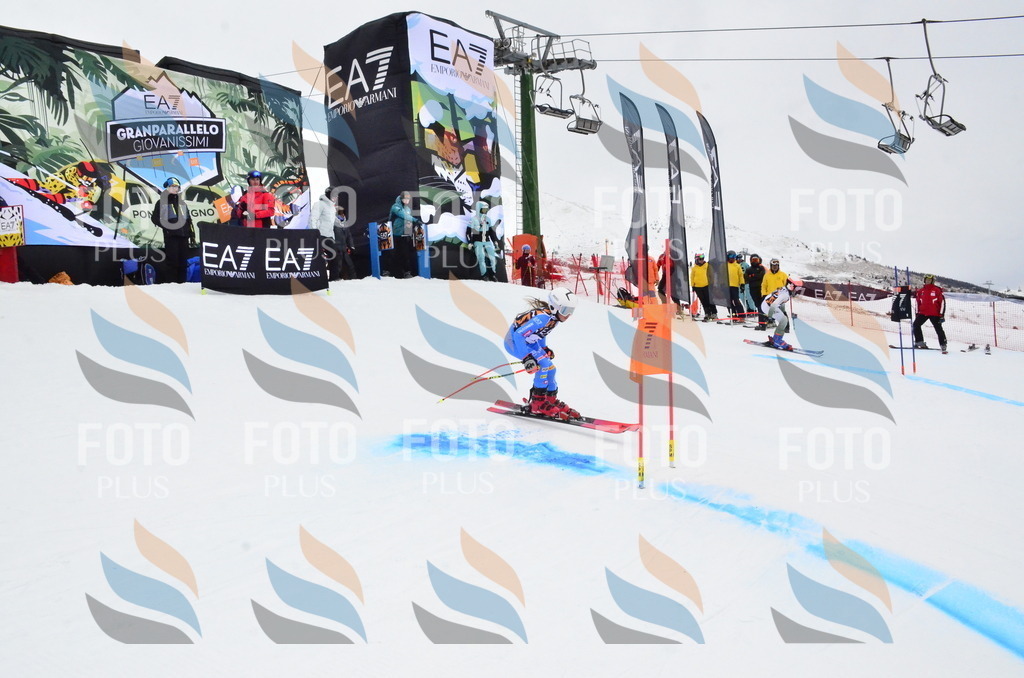 _ELE4016 | holidayphoto