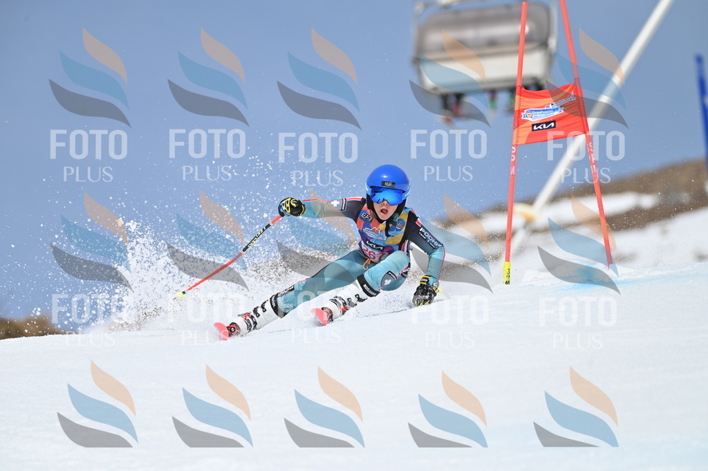 BGV_2207 | holidayphoto