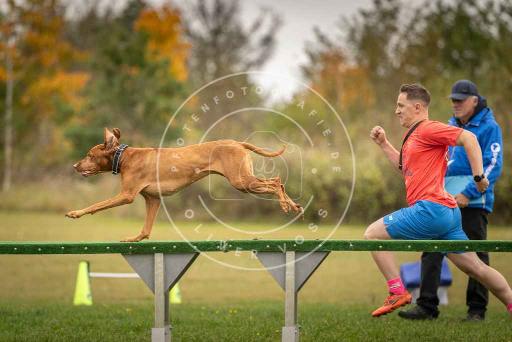 Pfotenfotografie_DV3A7555 | Hundefotografie, Tierfotograf, Pfotenfotografie, Fotoshooting Hund, Hunde Portrait, Hundesport, Hundeportraits, Heideshooting, Hunde, Sportfotograf, Hundefotograf, Turnierhundsport, THS,  - Realisiert mit Pictrs.com