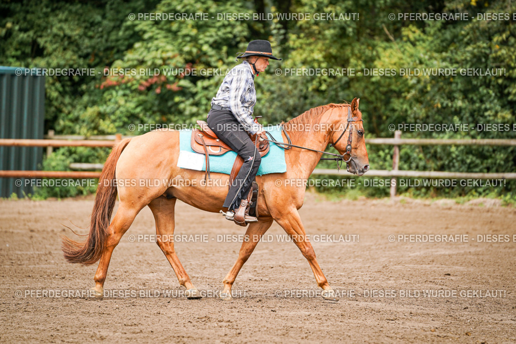 DSC06493 | Pferdegrafie