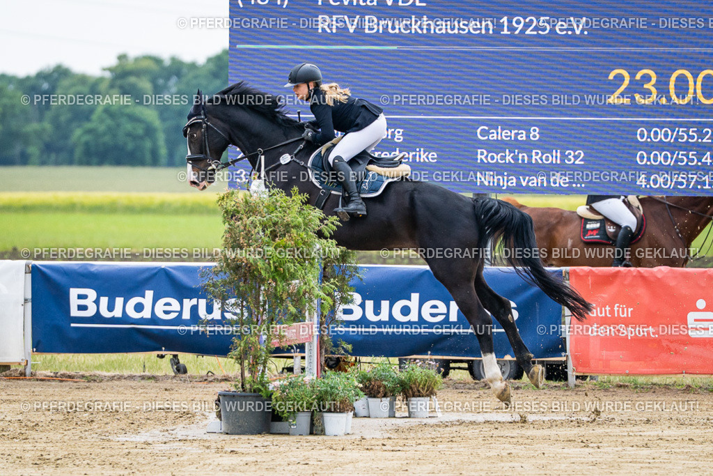 DSC04512 | Pferdegrafie