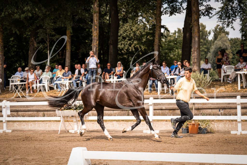 4.Fr00178 | Leoni Ertmer Photography - Realisiert mit Pictrs.com