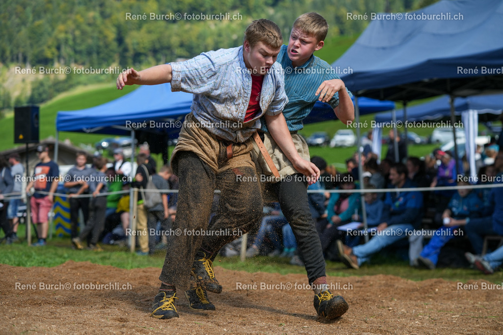 RB_00496-2 | René Burch leidenschaftlicher Fotograf aus Kerns in Obwalden.  Hier finden sie Sport, Landschaft und Natur Fotografie.
 - Realisiert mit Pictrs.com