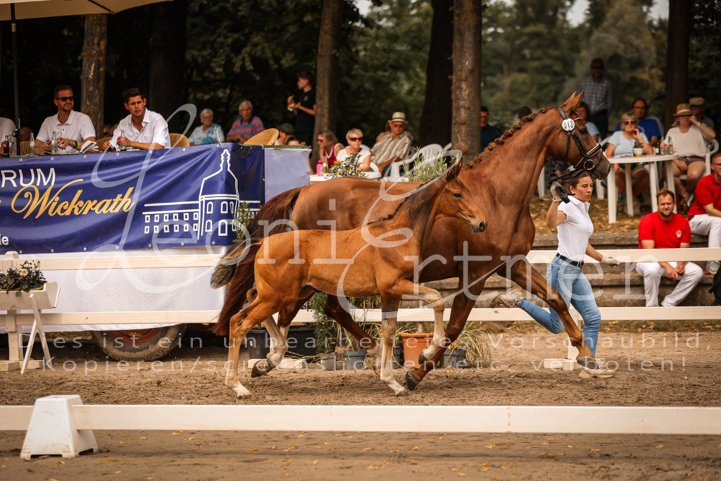 SaPA00180 | Leoni Ertmer Photography - Realisiert mit Pictrs.com