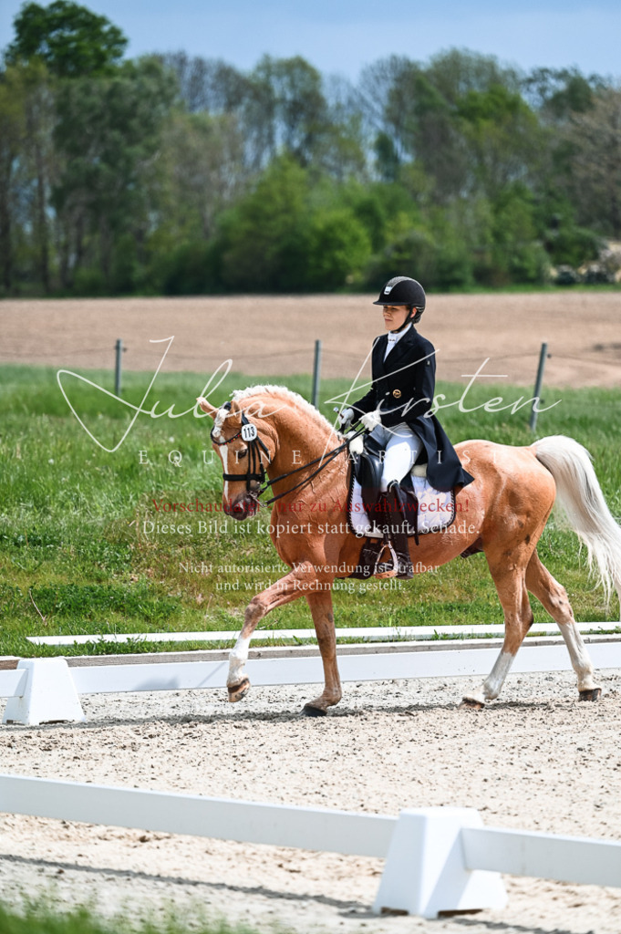 20230514_JK-Röhrsdorf-19-182 | Pferde- und Turnierfotografie in Westsachsen. Pferdeportraits, Auftragszeichnungen und intuitive Kunst.