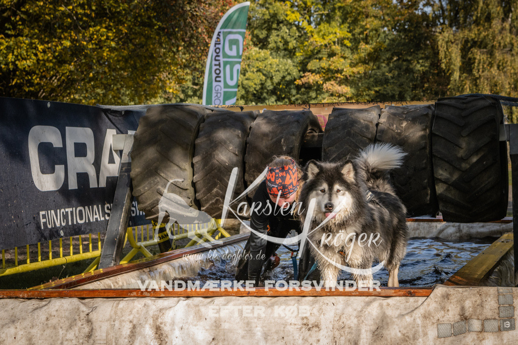 1153_ZZ93726 | kk-dogfotos