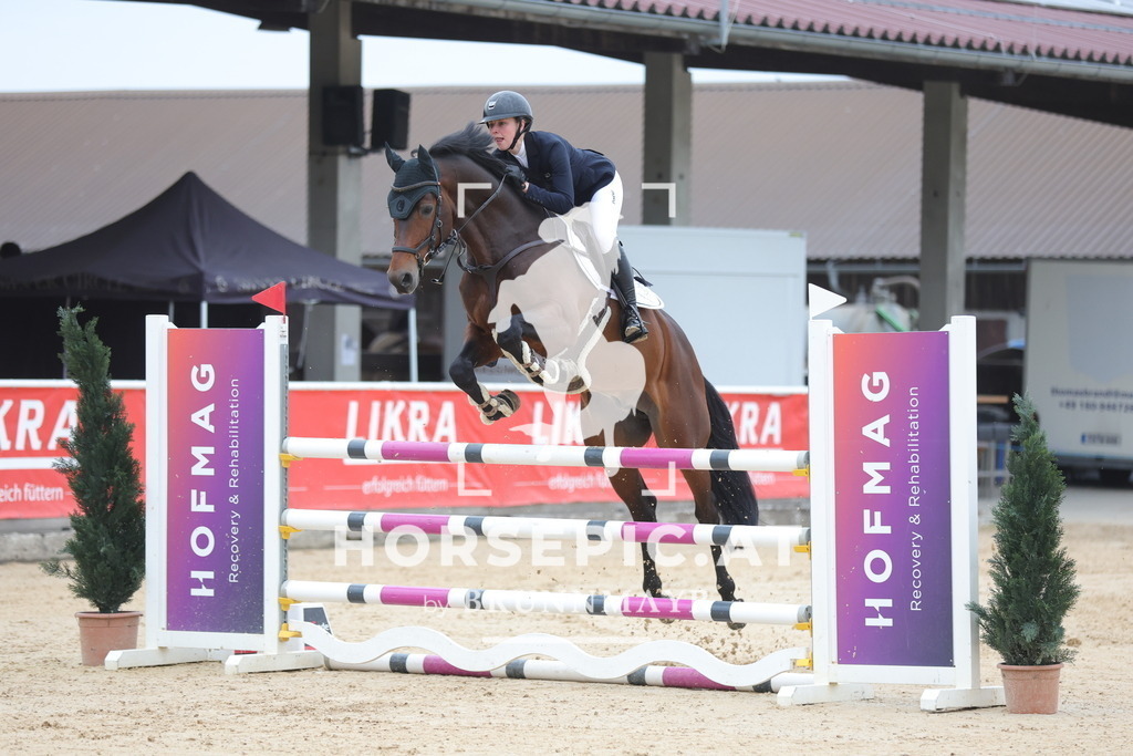 0P6A3142 | Willkommen bei Brunnmayr - Design & Fotografie – Ihrem Spezialisten für Reitturniere und Pferdeveranstaltungen in Oberösterreich, Salzburg und Bayern! Seit über 17 Jahren sind wir leidenschaftlich dabei.