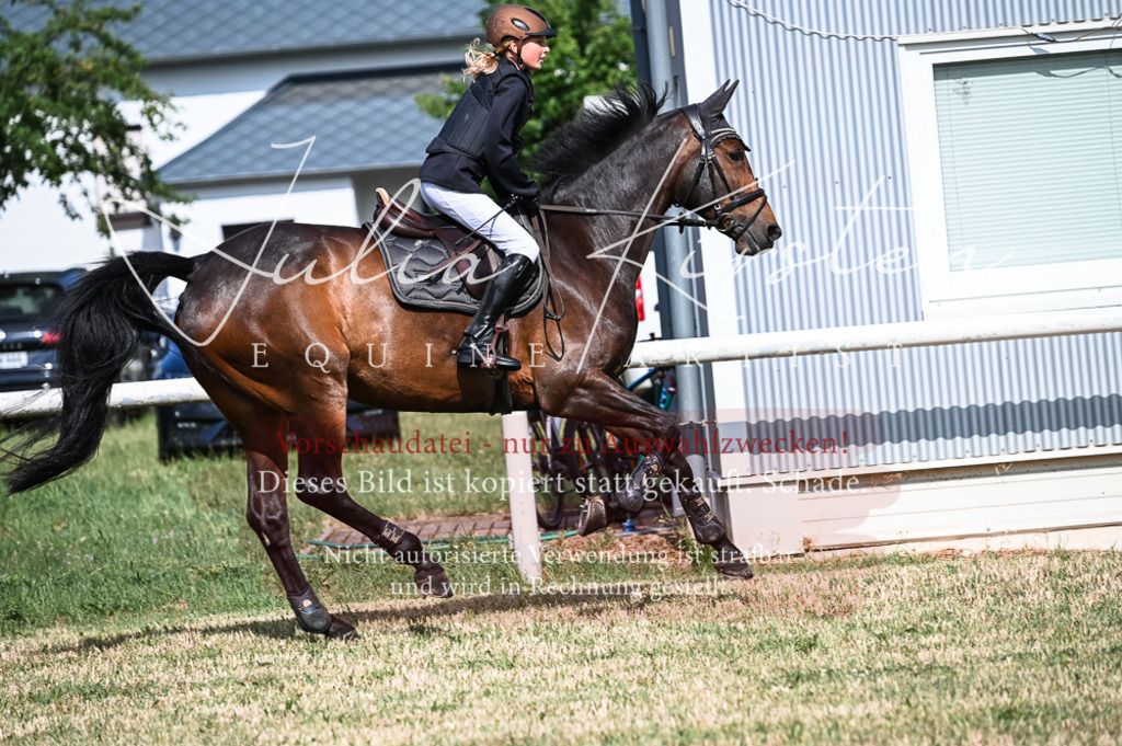 DSC_7994 | Pferde- und Turnierfotografie in Westsachsen. Pferdeportraits, Auftragszeichnungen und intuitive Kunst.