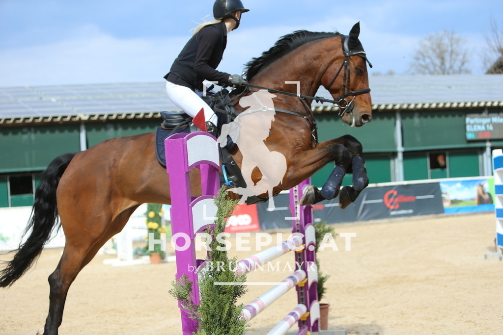 DL2Q9755 | Willkommen bei Brunnmayr - Design & Fotografie – Ihrem Spezialisten für Reitturniere und Pferdeveranstaltungen in Oberösterreich, Salzburg und Bayern! Seit über 17 Jahren sind wir leidenschaftlich dabei.