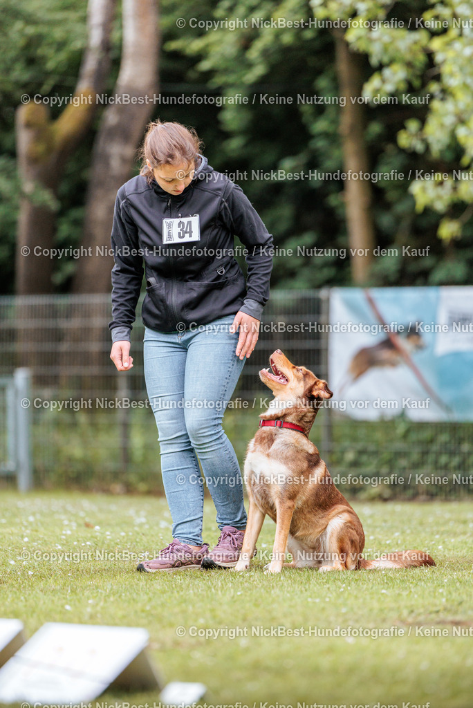 RO-Blumenthal-2026-Nickbest-Hundefotografie-2783 | Dein Hund! Dein Moment! Deine Erinnerungen! Hundefotografie in Bremen Blumenthal. Ich fange die besonderen Momente deines Vierbeiners ein – ob Indoor mit Blitzanlage oder in der freien Natur. Sicher dir dein Moment und dein Termin für eure Erinnerungen.