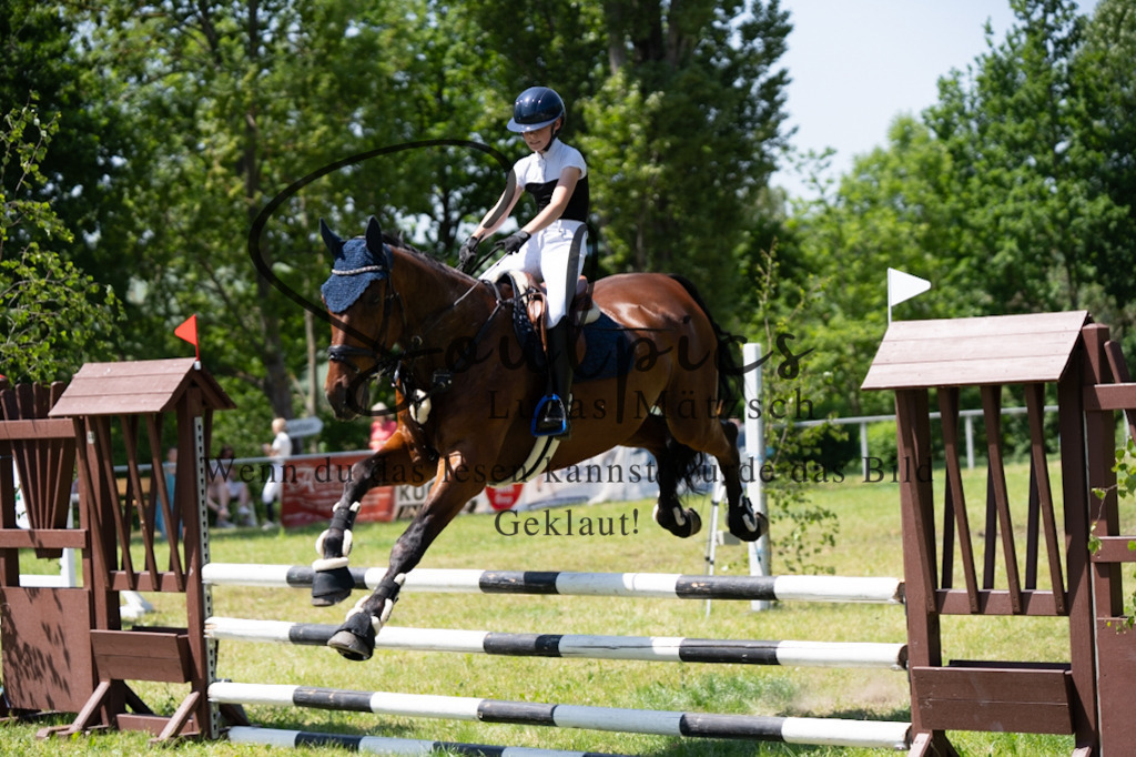 A7V06102 | Pferdefotograf