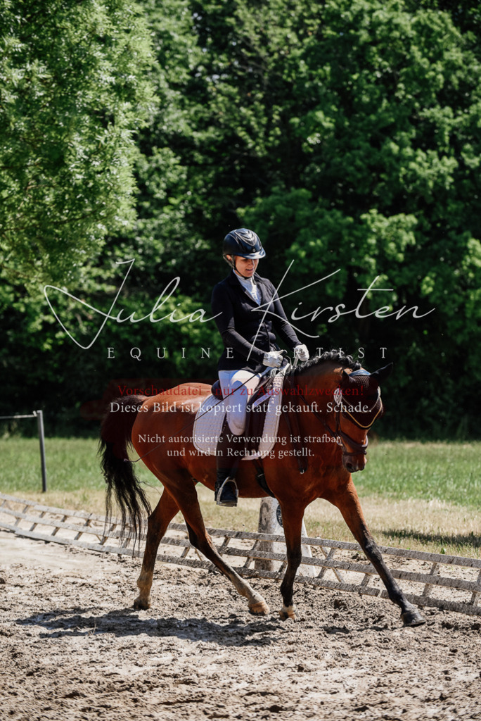 DSC_1868 | Pferde- und Turnierfotografie in Westsachsen. Pferdeportraits, Auftragszeichnungen und intuitive Kunst.