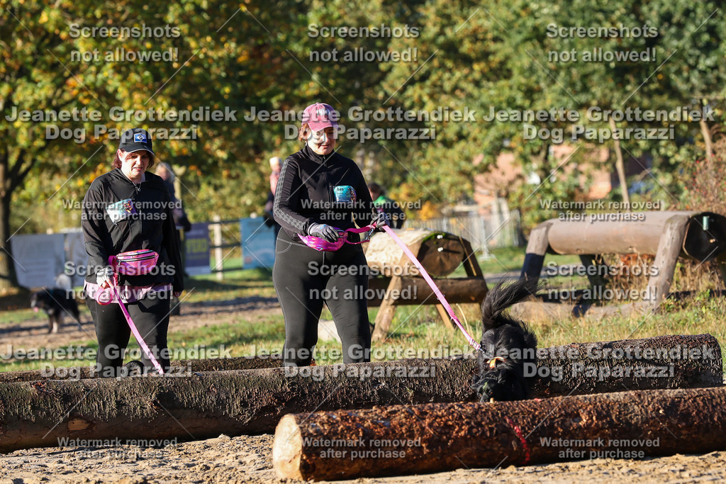 Dog Paparazzi - Strongdog 10-25-996 | Dog Paparazzi Jeanette Grottendiek Fotografie & Videografie