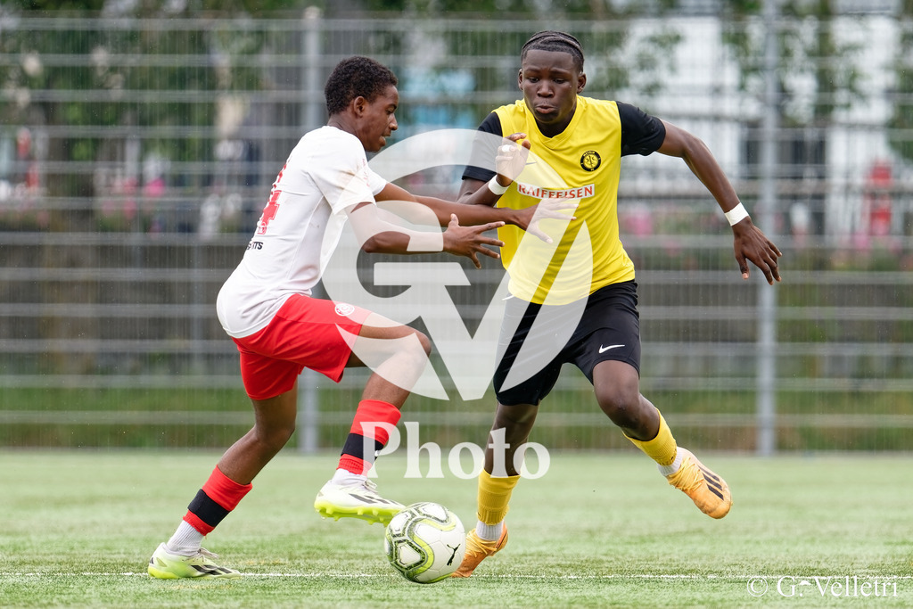 DSC_6757 | Velletri Photo