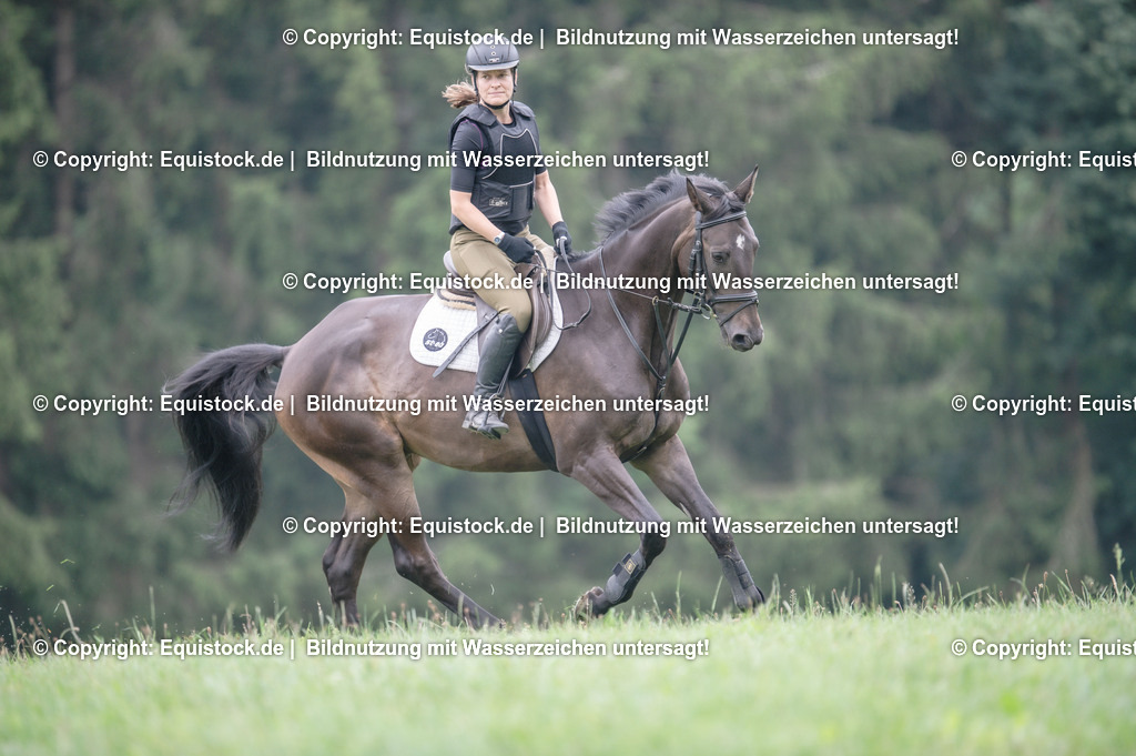 20250726_Vielseitigkeitslehrgang-Marbach_0359 | Foto: Thomas Hartig