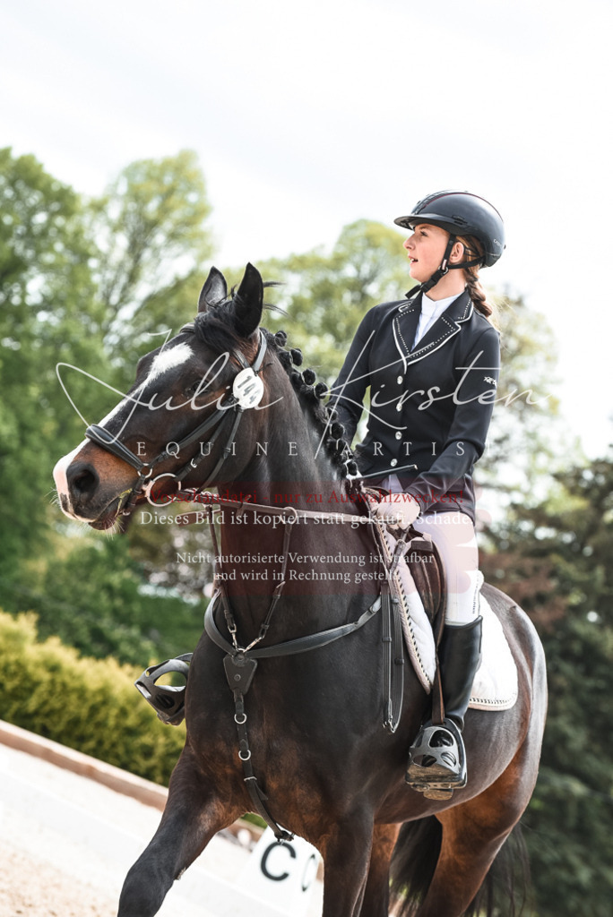 20230518_JK-Röhrsdorf-10-820 | Pferde- und Turnierfotografie in Westsachsen. Pferdeportraits, Auftragszeichnungen und intuitive Kunst.