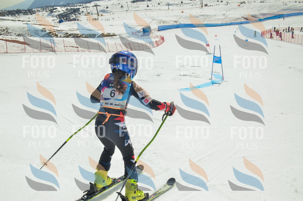 _ELE4463 | holidayphoto