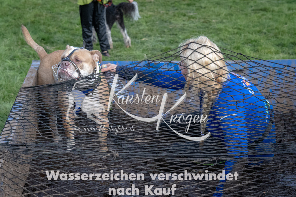 1612_ZZ91990 | kk-dogfotos