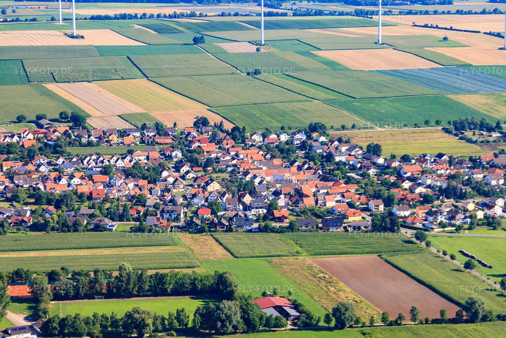 Luftbild: Ortspanorama hinterm Viehstrich von Süden in Minfeld im Bundesland Rheinland-Pfalz in Deutschland. Foto: IMG_31148.jpg vom 07.08.2010 durch Werner Riehm/FLY-FOTO.de