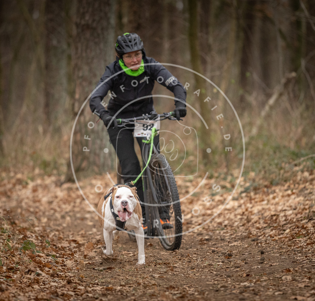 Pfotenfotografie_DV3A7089 | Hundefotografie, Tierfotograf, Pfotenfotografie, Fotoshooting Hund, Hunde Portrait, Hundesport, Hundeportraits, Heideshooting, Hunde, Sportfotograf, Hundefotograf, Turnierhundsport, THS,  - Realisiert mit Pictrs.com