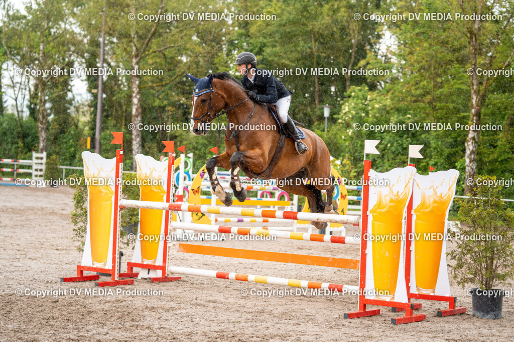 Eppelheim Tag 3-62 | dv-media-shop - Realisiert mit Pictrs.com