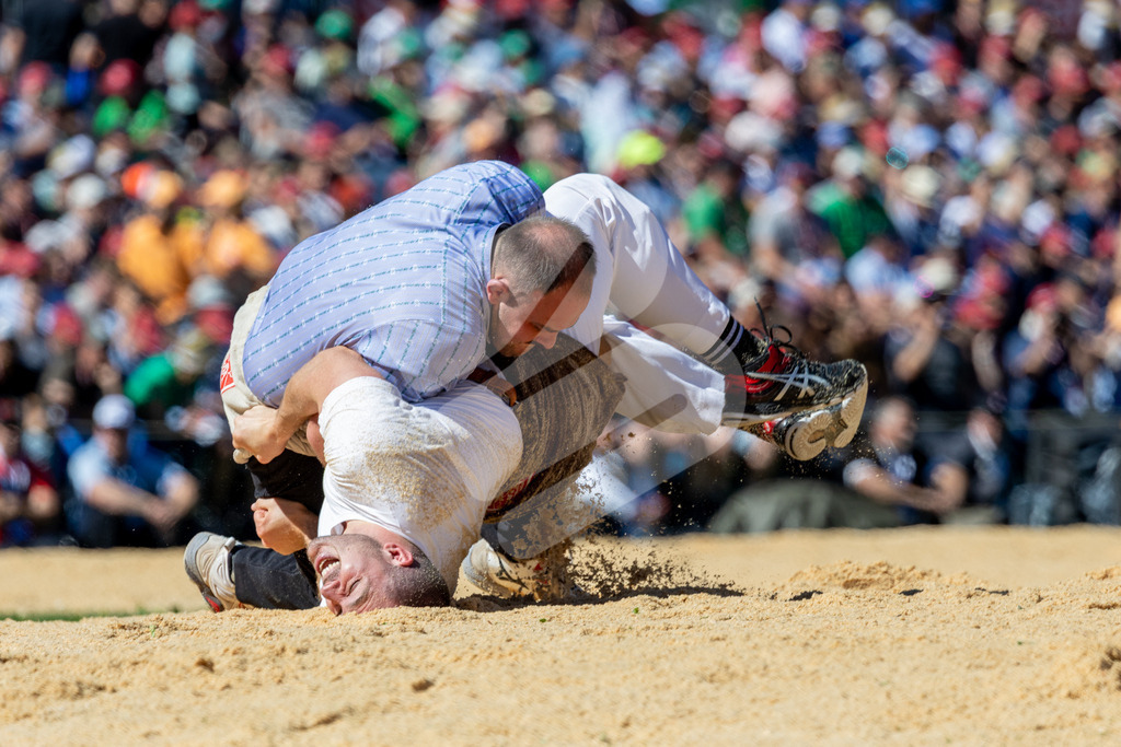 ESAF2025_06Gang_6413 | Die Schwinger des Schwyzer Kantonalen Schwingerverbandes: Fotos, die Dynamik und Leidenschaft festhalten, sowie emotionale Momente aus dem traditionellen Schwingsport zeigen. - Realisiert mit Pictrs.com