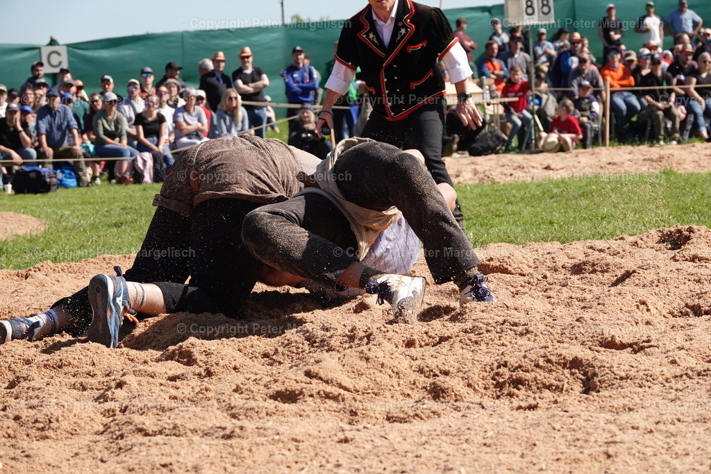 DSC00914 | Schwingen - Realisiert mit Pictrs.com