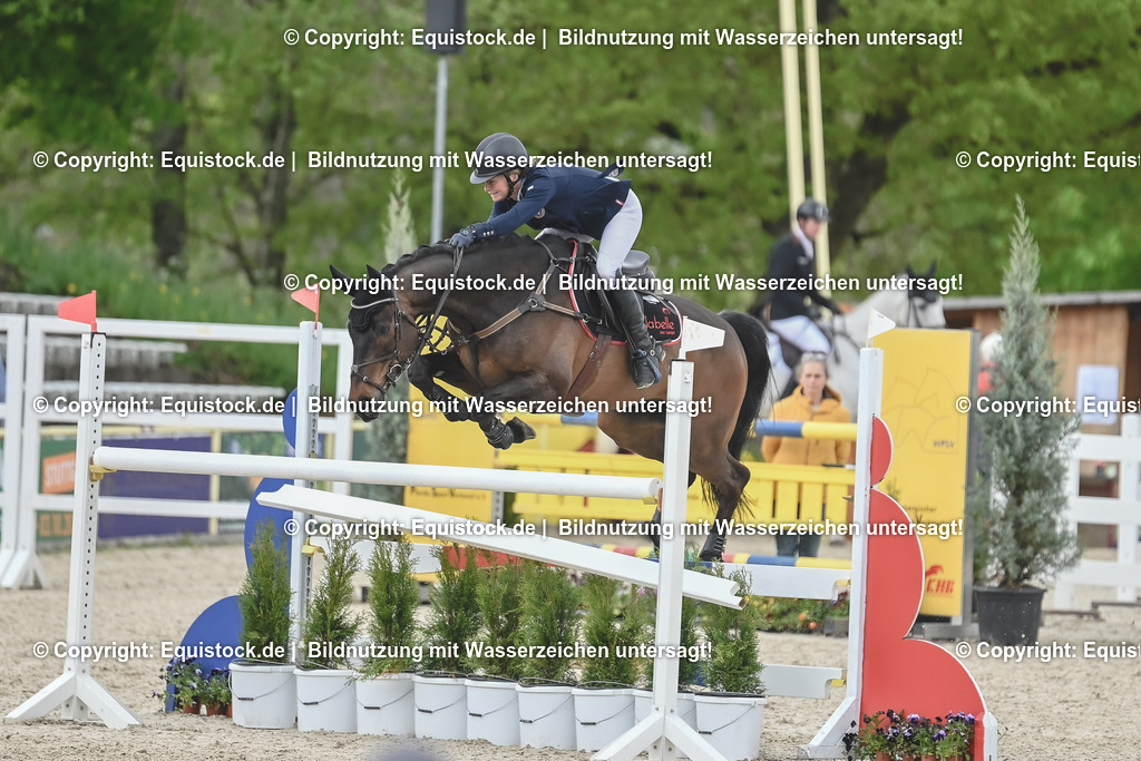 20230514_CCI4_Springen_0228 | equistock