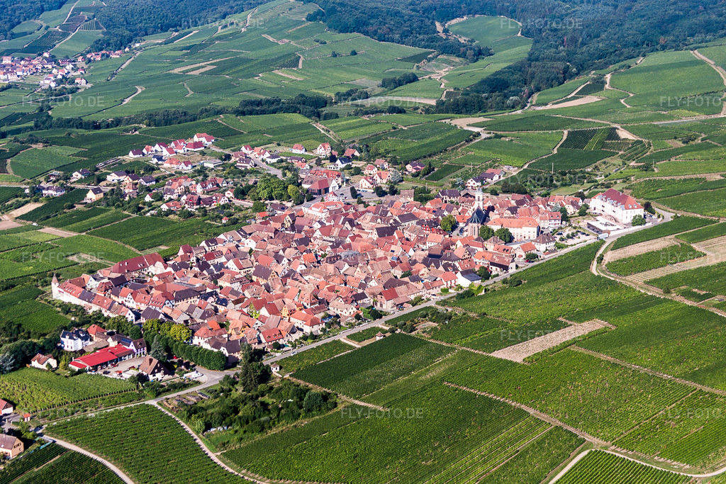 Luftbild: Weinbergen in Saint-Hippolyte im Bundesland Haut-Rhin in Frankreich. Foto: IMG_093302.jpg vom 16.08.2016 durch Werner Riehm/FLY-FOTO.de