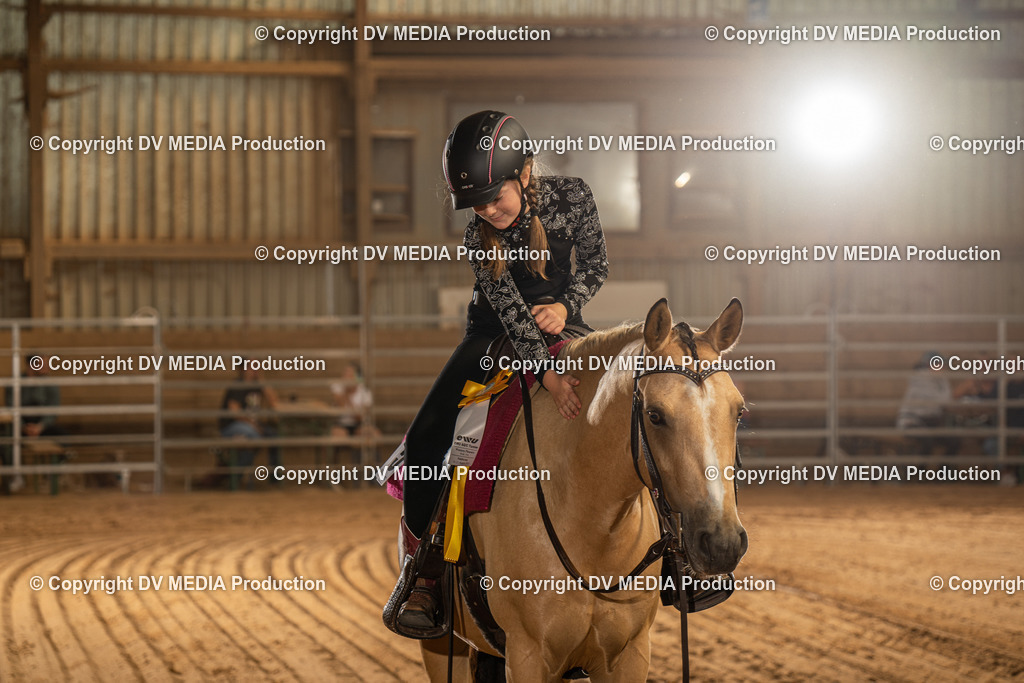 NID02854 | dv-media-shop - Realisiert mit Pictrs.com