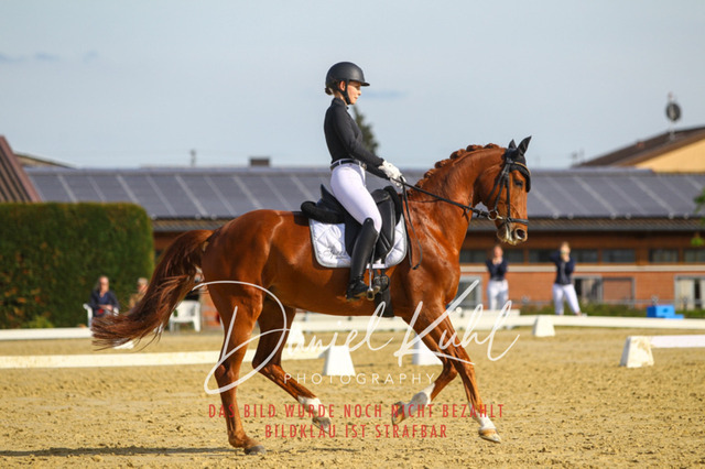 DKP43369 | Turniersportfotografie; Pferdefotografie; Dressurfotografie