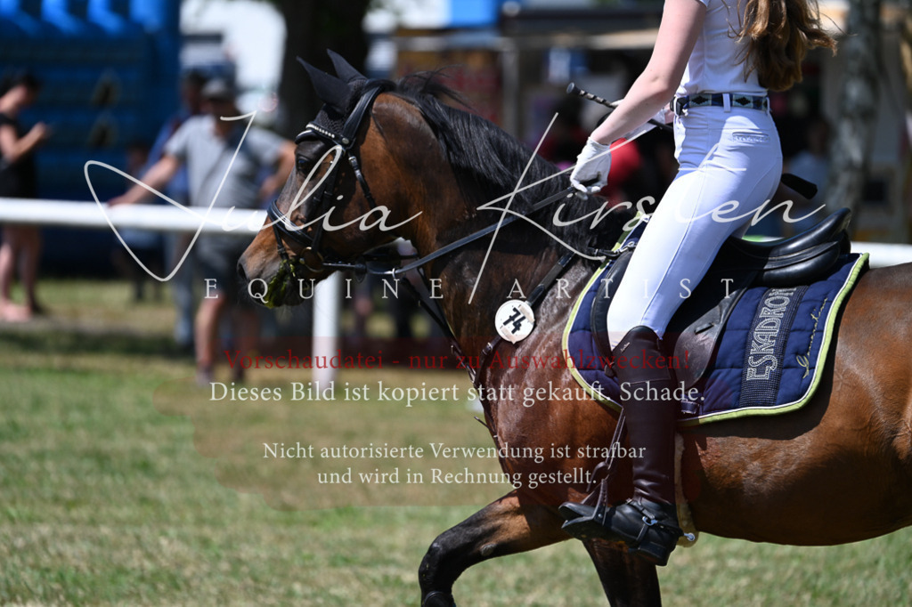 DSC_0788 | Pferde- und Turnierfotografie in Westsachsen. Pferdeportraits, Auftragszeichnungen und intuitive Kunst.
