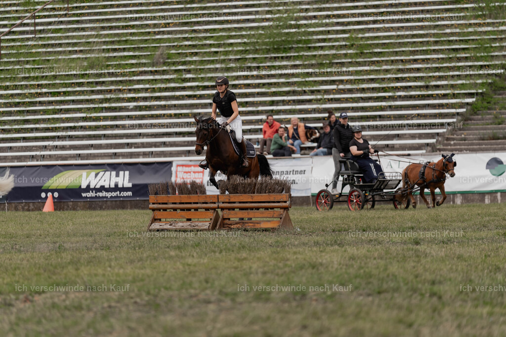 Showprogramm-383 | working equitationturnier fotograf videograf stoibphotography marixx film working equitation deutschland reitsport turnierfotografie eventfotografie equestrian events