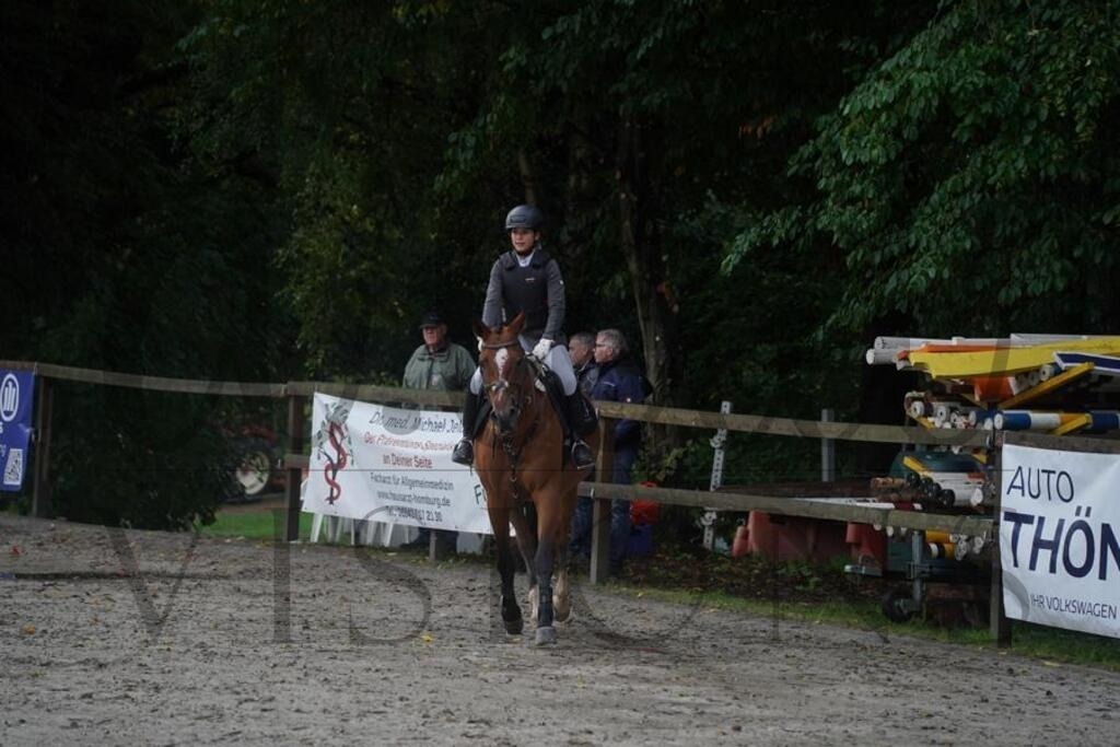 rveinoedsonntag (122) | d.tail Visions - Shop - Realisiert mit Pictrs.com