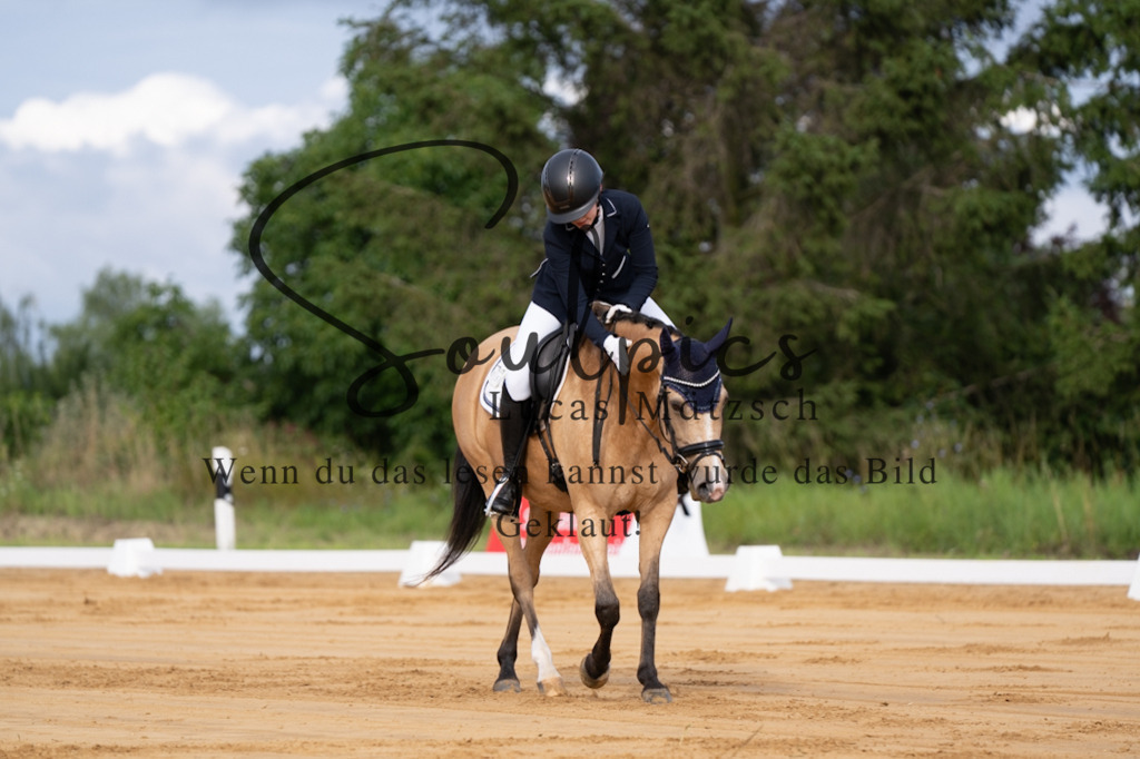 A7V05099 | Pferdefotograf