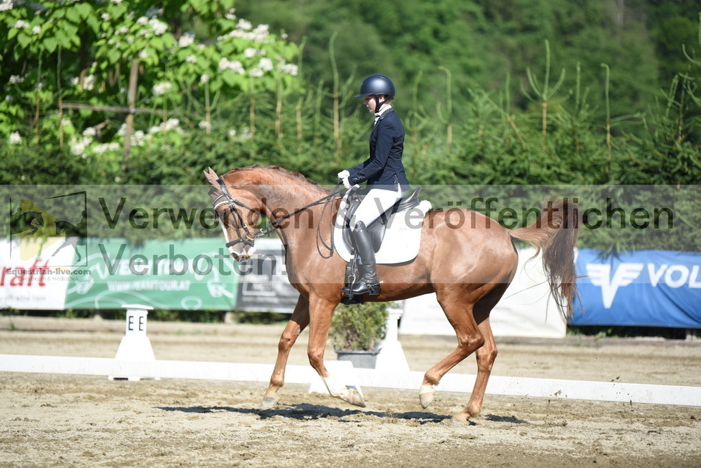 DSC_7580 | equestrian-live-com