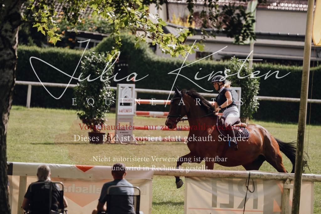 DSC_0965 | Pferde- und Turnierfotografie in Westsachsen. Pferdeportraits, Auftragszeichnungen und intuitive Kunst.