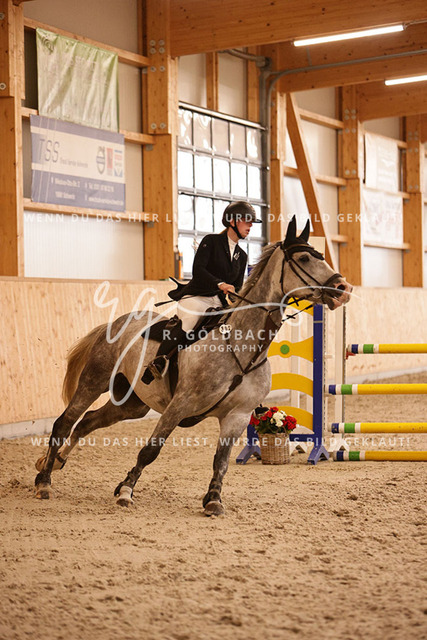 1J2A4168Alina Maack_ Karat du Scal__ Kn302_ Hohen Wieschendorf_ Glantz | Foto- und Videografie für alles rund ums Pferd. Hochwertige Bilder und Videos vom Spring- und Dressurreiten, Voltigieren & mehr. Jetzt aktuelle Veranstaltungen und Preise im Shop ansehen. - Realisiert mit Pictrs.com