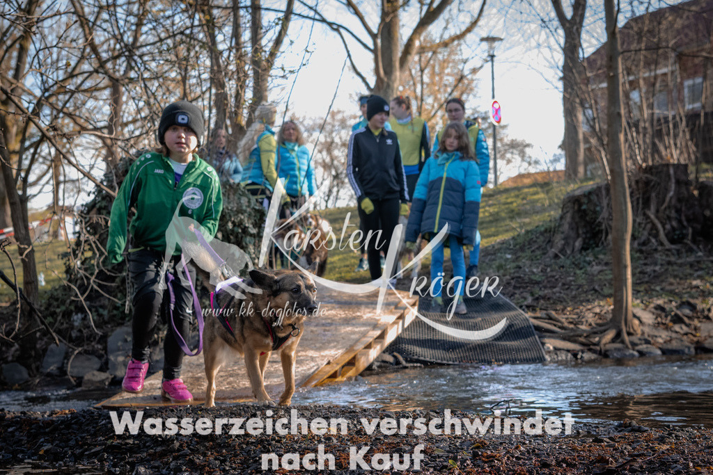 0827_ZZ90923 | kk-dogfotos