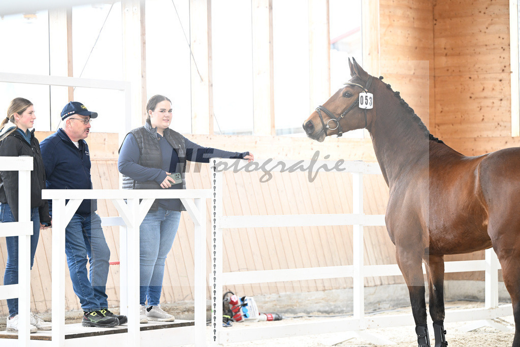Kat-Nr. 53 Condessa M v. Van Cordoba_Mayer_5251667 | hf-fotografie - Realisiert mit Pictrs.com