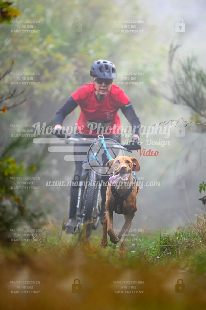 MompixPhotography_20TSB_E4_Bike-71 | PayLife