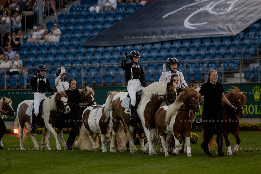 TSCHIO26_PferdundSinfonie_StoibphotographyTSCHIO26_Pferd-Sinfonie_Stoibphotography_AM10858.CR3.jpg | working equitationturnier fotograf videograf stoibphotography marixx film working equitation deutschland reitsport turnierfotografie eventfotografie equestrian events
