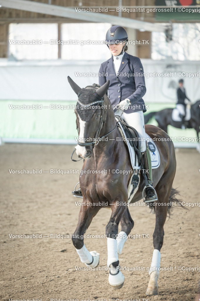 _D5A0947 | Emotionale Pferde- & People-Fotografie rund um Heidelberg, Leimen & Umgebung. Natürliche Fotos von Pferd, Mensch & Familie. Jetzt Termin sichern!