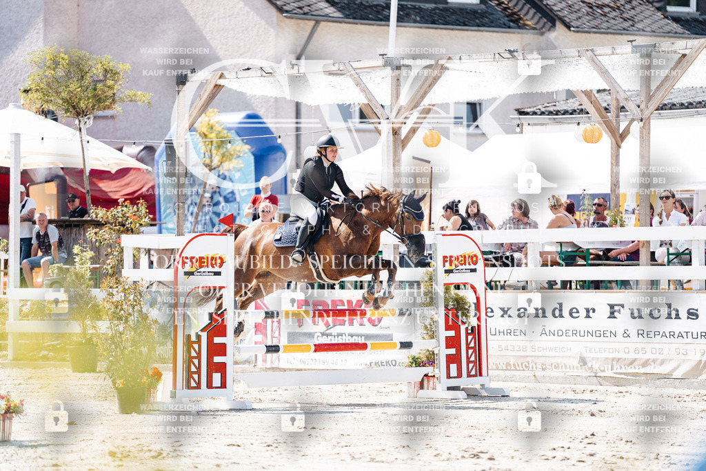 CK908491 | Turnierfotografie Pferdefotografie Trier Rheinland-Pfalz Pferdesport Reitsport Tierfotografie Sportfotografie Pferdevideo Pferdevideografie Equestrianvideography equestrianphotography  - Realisiert mit Pictrs.com