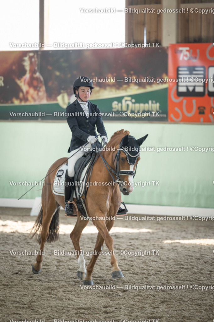 _D5A2571 | Emotionale Pferde- & People-Fotografie rund um Heidelberg, Leimen & Umgebung. Natürliche Fotos von Pferd, Mensch & Familie. Jetzt Termin sichern!