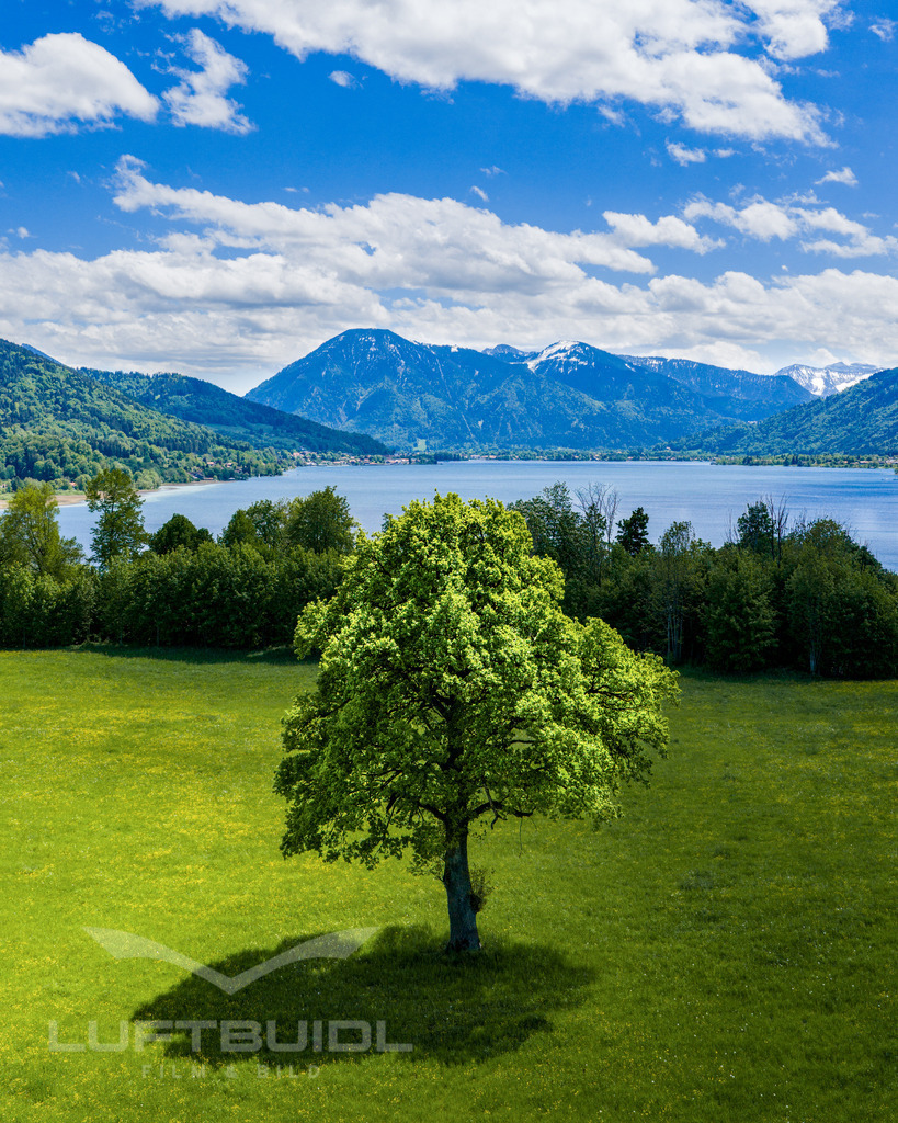 F24 | default - Realisiert mit Pictrs.com